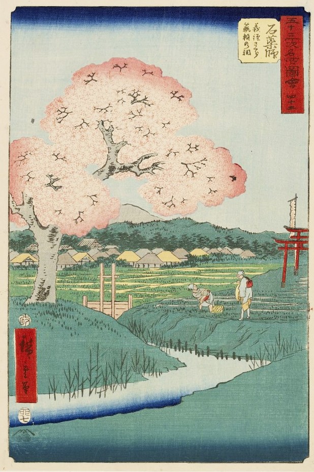 「五十三次名所図会　四十五　石薬師　義経の桜」（歌川広重、1855　大英博物館）の画像。